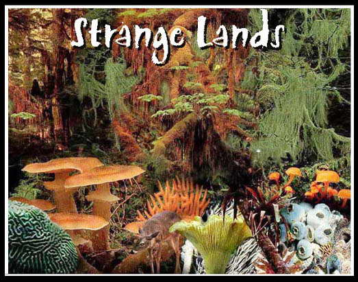 strange lands