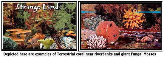 Coral Crops